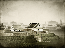 Tea Plantation