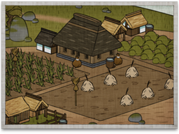Rice Paddies