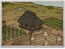 Rice Paddies