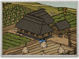 Terrace Farming