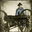 Boshin_Modern_Art_Parrot_Guns Image